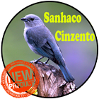 Canto Sanhaco Cinzento biểu tượng