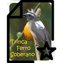 Trinca Ferro Soberano APK