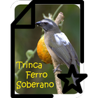 Trinca Ferro Soberano biểu tượng