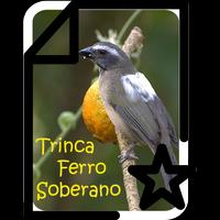 Trinca Ferro Soberano bài đăng