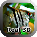 Trial Freshwater Aqu 3D LWP-APK
