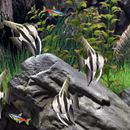Fish Tank LWP-APK