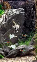 Fish Tank LWP screenshot 1