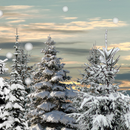 Winter Snow Trees 3D Trial LWP APK