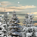 Winter Snow Trees 3D Trial LWP-APK