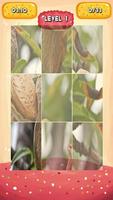 Almond Jigsaw Puzzles imagem de tela 2