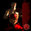 Punch 3D Boxing:Fighting