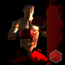 APK Punch 3D Boxing:Fighting