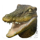 ikon Crocodile Mannequin