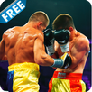 Mortal Boxing Fight 3D APK