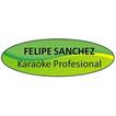 Karaoke Profesional