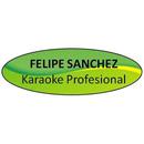 Karaoke Profesional APK