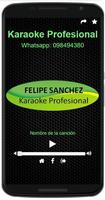 Karaoke Profesional скриншот 3