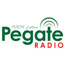 Pegate Radio aplikacja
