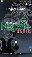 Pegate Radio Poster