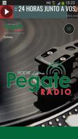 Pegate Radio captura de pantalla 1