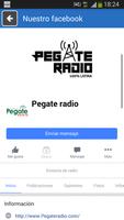 Pegate Radio captura de pantalla 2