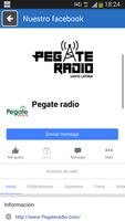 Pegate Radio تصوير الشاشة 2
