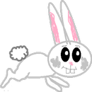 APK Dodge Bunny