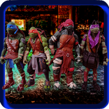 Turtles The Ninja Hero Game