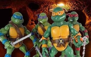 Turtles The Ninja Hero Game captura de pantalla 1
