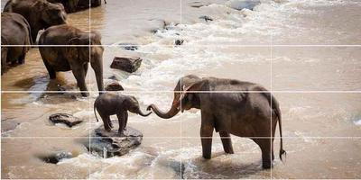 Zoo Animal Puzzle ภาพหน้าจอ 1