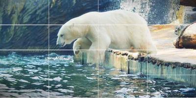 Zoo Animal Puzzle imagem de tela 2