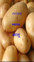 Vegetables Gujarati-Eng-Hindi capture d'écran 1