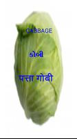 Vegetables Gujarati-Eng-Hindi capture d'écran 2