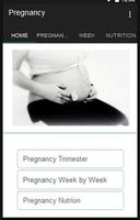 Pregnancy Calendar Plakat