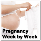 Pregnancy Week by Week ไอคอน