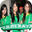 Koleksi Lagu Suporter Persebaya Offline Mp3 APK