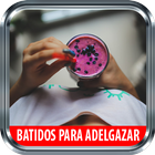 Dietas Para Adelgazar icon