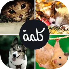اربع صور كلمة واحدة