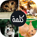 APK اربع صور كلمة واحدة