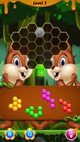 Squirrels Hexagon Fit screenshot 3