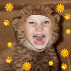 Cheetah Photo Frames icon