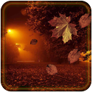 Autumn Night HD 2016 aplikacja