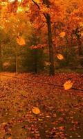 Autumn Night HD 2016 screenshot 2
