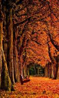 Autumn Night HD 2016 screenshot 3