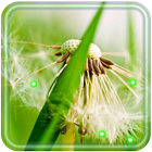 آیکون‌ Dandelion Best