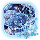 Winter Frosty Day aplikacja
