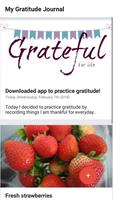 Gratitude Journal Affiche