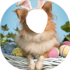 Funny Frames Photo Editor icon