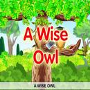 APK A Wise Old Owl Nursery Rhyme Song Kids Offline
