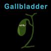 Human Body Gallbladder Song APK