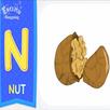 N Phonics Letter Alphabet Song APK