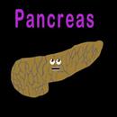 Human Body Pancreas Kids Song APK