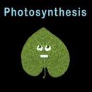 Plants Kids Song Offline APK