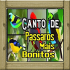 canto de canário belga icon